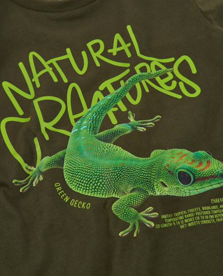 T-shirt garçon en maille avec design gecko et manches longues Vert 4 - vertbaudet enfant 