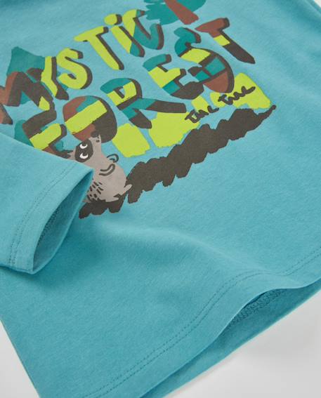 T-shirt bébé garçon en jersey manches longues à motif graphique Bleu 4 - vertbaudet enfant 