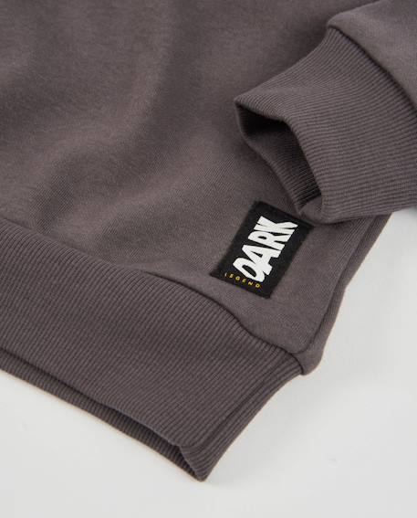Sweat-shirt garçon en molleton avec imprimé skateboard Gris 4 - vertbaudet enfant 