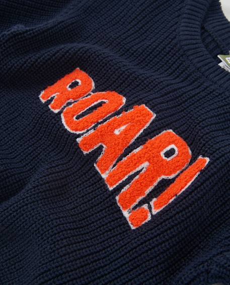 Pull en tricot pour bébé garçon avec message sur le devant Bleu 3 - vertbaudet enfant 