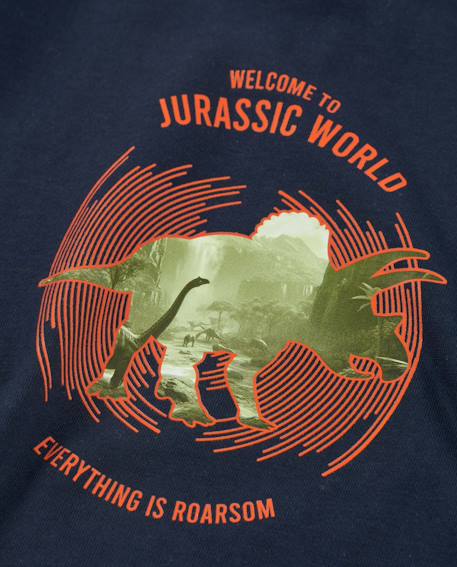 T-shirt en maille pour garçon avec imprimé jurassique Bleu 3 - vertbaudet enfant 