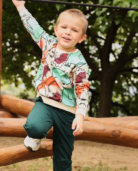 Pantalon de jogging bébé garçon en molleton avec taille ajustable à cordon Vert 1 - vertbaudet enfant 
