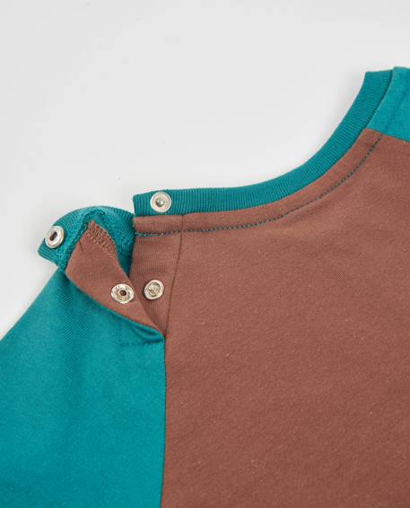 T-shirt garçon en jersey à motif ours et manches longues Marron 4 - vertbaudet enfant 