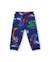 Pantalon de jogging garçon en molleton à imprimé dinosaures et tissu résistant Bleu 2 - vertbaudet enfant 