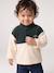 Sweat bébé garçon col montant vert sapin 1 - vertbaudet enfant 