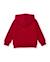 Sweat garçon en jersey avec capuche et fermeture éclair Rouge 2 - vertbaudet enfant 