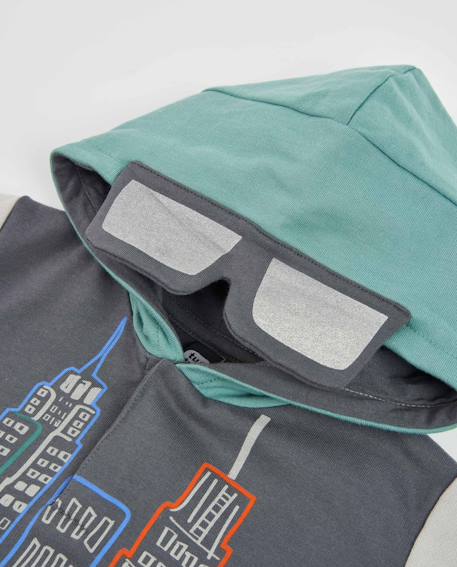Sweat à capuche garçon en molleton à imprimé urbain Gris 3 - vertbaudet enfant 