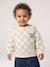 Sweat bébé garçon manches longues vert sauge 1 - vertbaudet enfant 