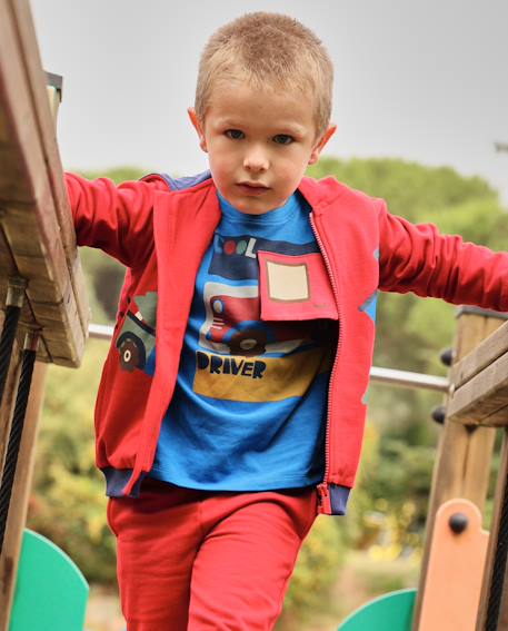 T-shirt manches longues en jersey pour garçon avec motif véhicule Bleu 1 - vertbaudet enfant 