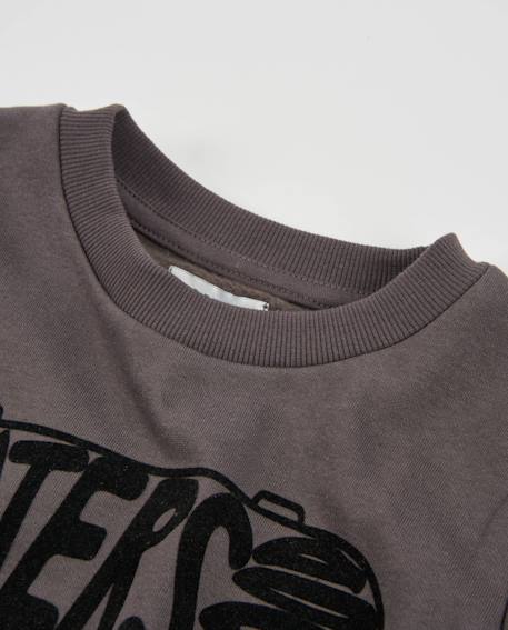 Sweat-shirt garçon en molleton avec imprimé skateboard Gris 3 - vertbaudet enfant 