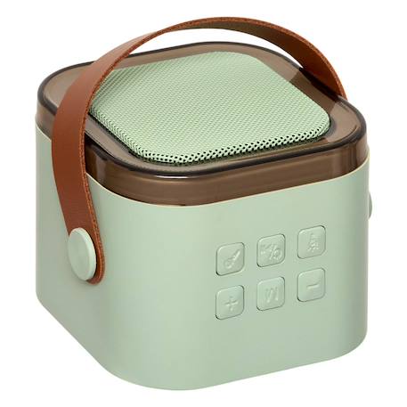 Set karaoké enceinte et micros - kara Rose+Vert 8 - vertbaudet enfant 
