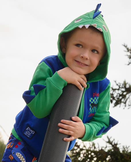 Sweat à capuche zippé garçon en molleton motif dinosaure Bleu 1 - vertbaudet enfant 