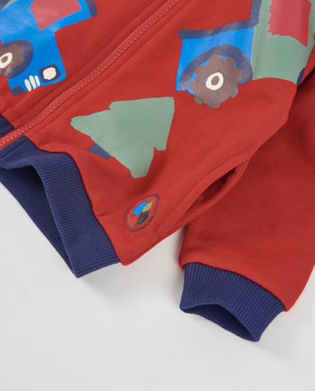 Sweat à capuche zippé garçon en molleton avec motif voitures Rouge 4 - vertbaudet enfant 