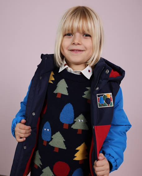 Pull bébé garçon en maille douce à motifs d'arbres Bleu 1 - vertbaudet enfant 