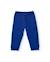 Ensemble bébé garçon en molleton sweat imprimé dinosaures et pantalon Bleu 3 - vertbaudet enfant 