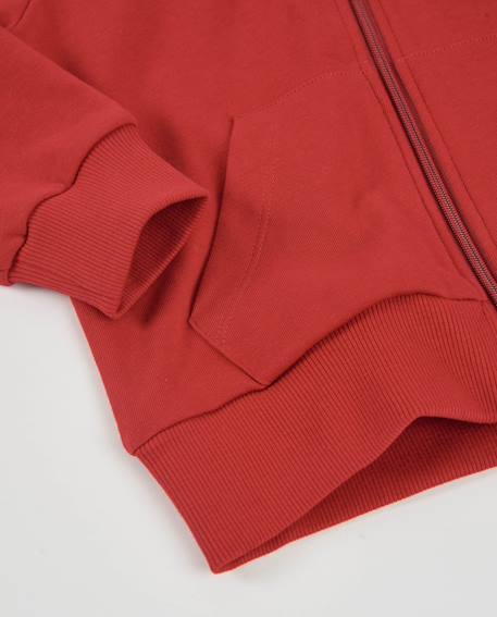 Sweat garçon en jersey avec capuche et fermeture éclair Rouge 4 - vertbaudet enfant 