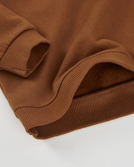 Sweat bébé garçon en molleton avec motif grenouille et message imprimé Marron 4 - vertbaudet enfant 