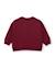 Sweat garçon en molleton chaud à imprimé animaux Rouge 3 - vertbaudet enfant 