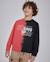 Sweat garçon en molleton avec imprimé frontal et couleurs contrastantes Rouge 1 - vertbaudet enfant 