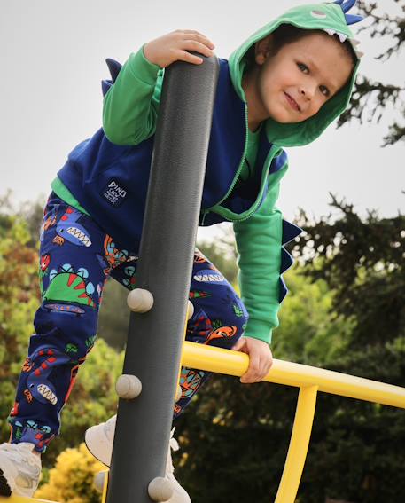 Pantalon de jogging garçon en molleton à imprimé dinosaures et tissu résistant Bleu 1 - vertbaudet enfant 