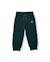 Ensemble garçon en molleton avec sweat motif savane et pantalon assorti Beige 4 - vertbaudet enfant 