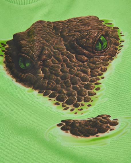 Sweat garçon en molleton avec imprimé graphique serpent Vert 5 - vertbaudet enfant 