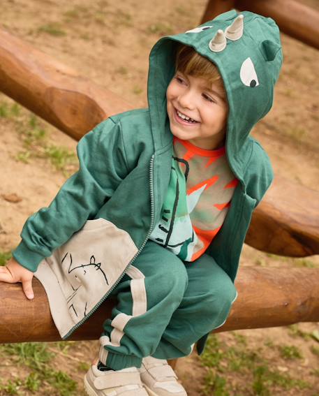 Garçon-Ensemble-Ensemble garçon en molleton avec sweat à capuche rhinocéros et pantalon