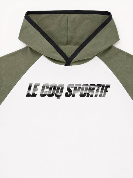 Sweat à capuche essentiels Blanc 4 - vertbaudet enfant 