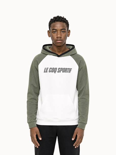 Sweat à capuche essentiels Blanc 1 - vertbaudet enfant 