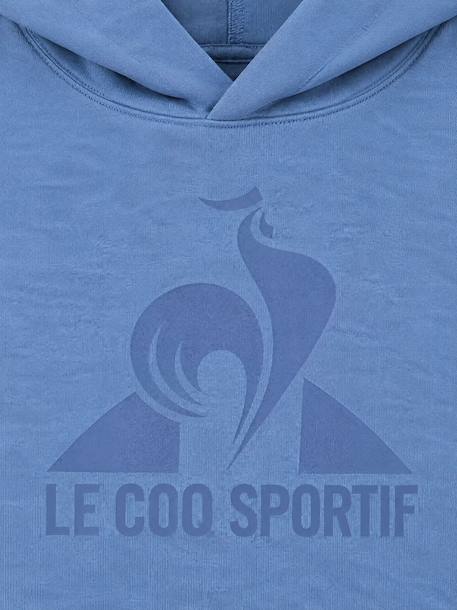Sweat à capuche essentiels Bleu+Blue 9 - vertbaudet enfant 