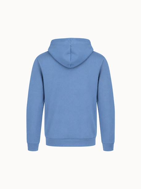 Sweat à capuche essentiels Bleu+Blue 3 - vertbaudet enfant 