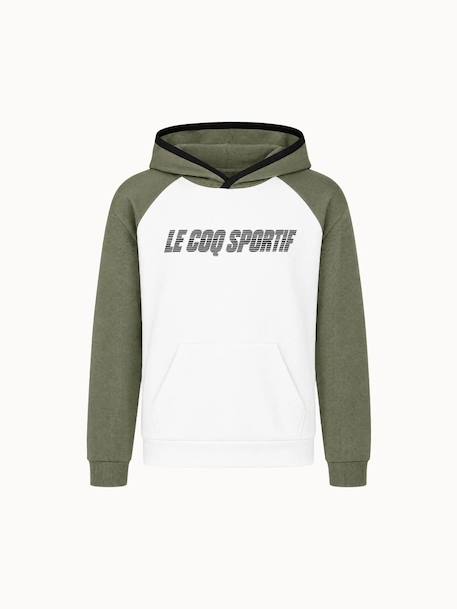 Sweat à capuche essentiels Blanc 2 - vertbaudet enfant 