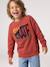 Sweat col rond garçon marine+tomette 9 - vertbaudet enfant 