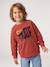 Sweat col rond garçon marine+tomette 8 - vertbaudet enfant 