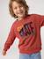 Sweat col rond garçon marine+tomette 11 - vertbaudet enfant 