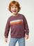 Sweat garçon col rond blanc chiné+mauve 7 - vertbaudet enfant 