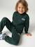 Sweat zippé garçon col camionneur marine+rouge+vert sapin 8 - vertbaudet enfant 