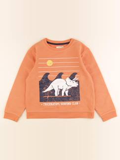 Seconde main-Garçon-Sweat - 10 ans