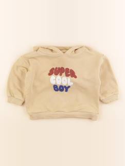 Seconde main-Garçon-Sweat - 12 mois