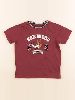 Seconde main-Garçon-Tee-shirt - 4 ans