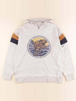 Seconde main-Garçon-Sweat - 14 ans