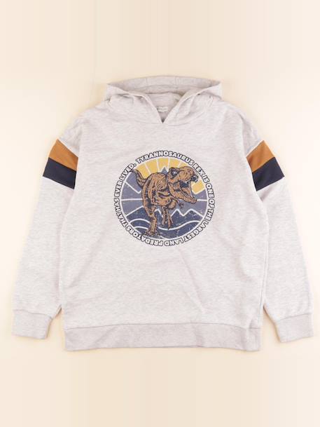 Sweat - 14 ans Gris 1 - vertbaudet enfant 