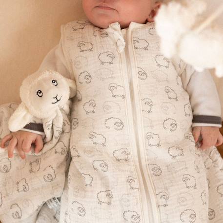 Doudou naissance Ecru 3 - vertbaudet enfant 