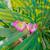 Lunettes de natation Aloha Rose 6 - vertbaudet enfant 