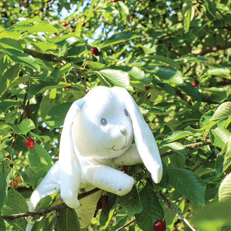 Peluche petit lapin Blanc 3 - vertbaudet enfant 
