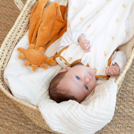 Doudou naissance Marron 2 - vertbaudet enfant 