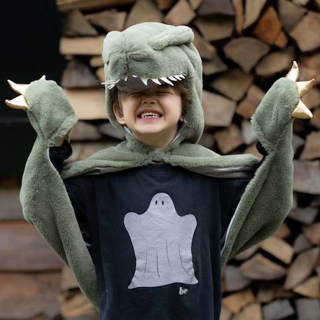 Déguisement enfant cape dinosaure t rex toute douce Vert 5 - vertbaudet enfant 