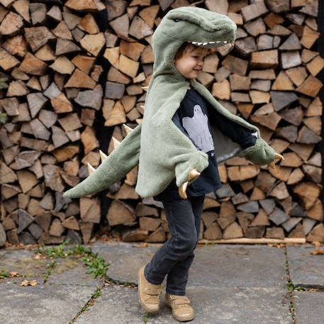 Déguisement enfant cape dinosaure t rex toute douce Vert 4 - vertbaudet enfant 