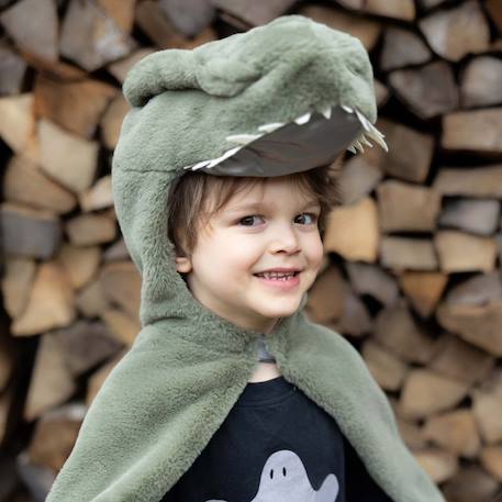 Déguisement enfant cape dinosaure t rex toute douce Vert 3 - vertbaudet enfant 