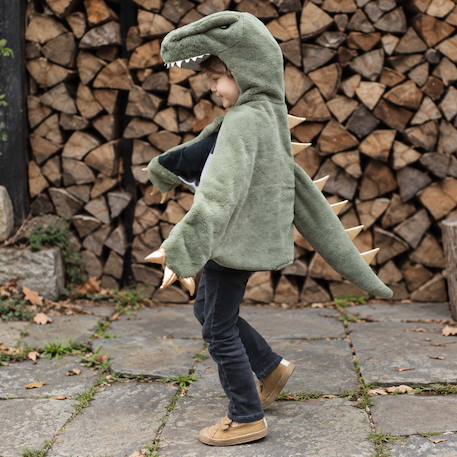 Déguisement enfant cape dinosaure t rex toute douce Vert 1 - vertbaudet enfant 